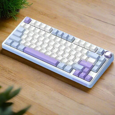 Wireless Mechanical Keyboard